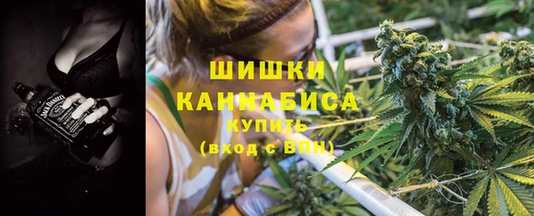 спайс Ладушкин