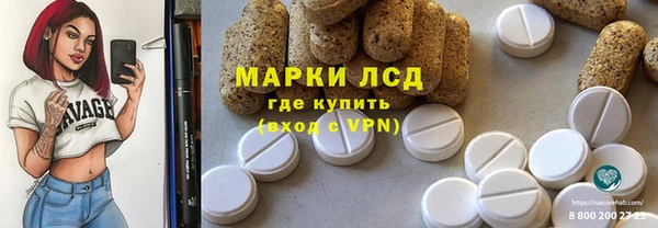 спайс Ладушкин