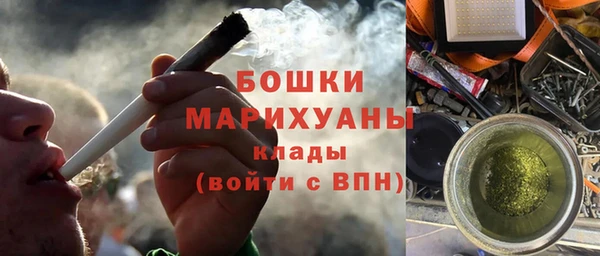 спайс Ладушкин